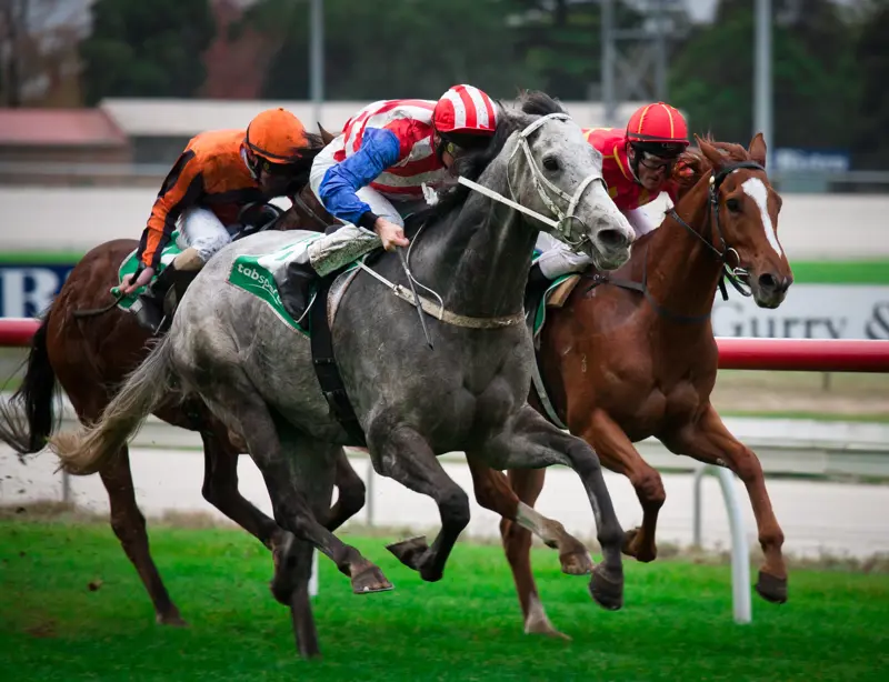 MelbourneCupQuizImage_.jpg