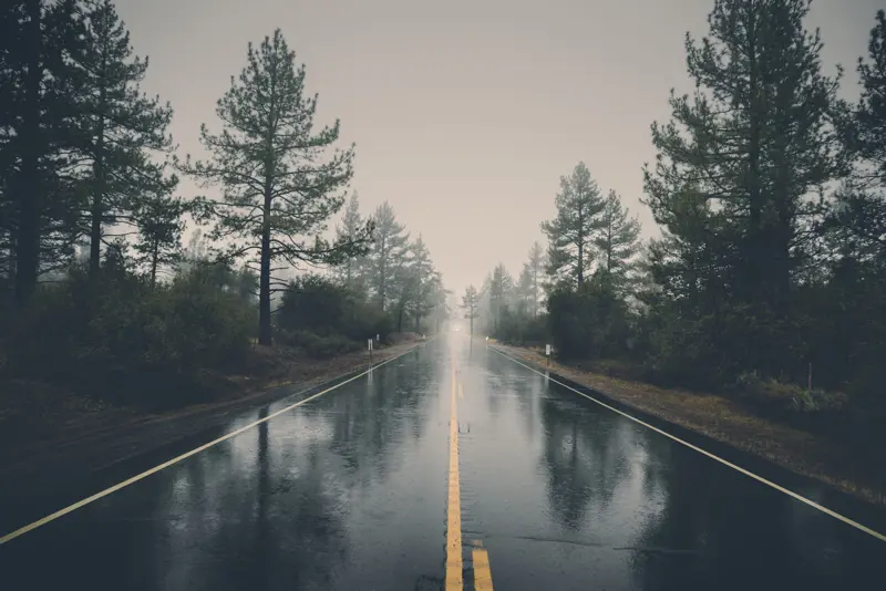 forest-haze-hd-wallpaper-39811-min.jpg