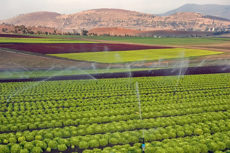 Irrigation_Tassie.jpg