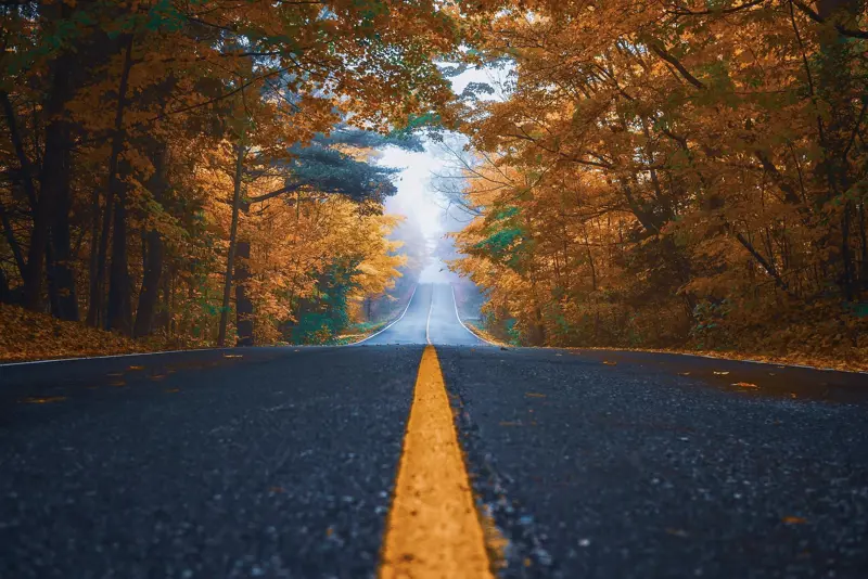autumn-g9ef172f4c_1920-1920x1281-1ac0e929-04a4-48e6-8bbe-13540916001d.jpg